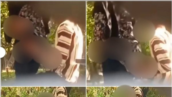 لمحة نيوز