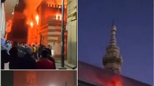 لمحة نيوز