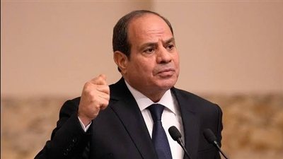 تدخل رئيس الجمهورية في حادثة الدواويس بالإسماعيلية ويصدر قراراً مفاجئ